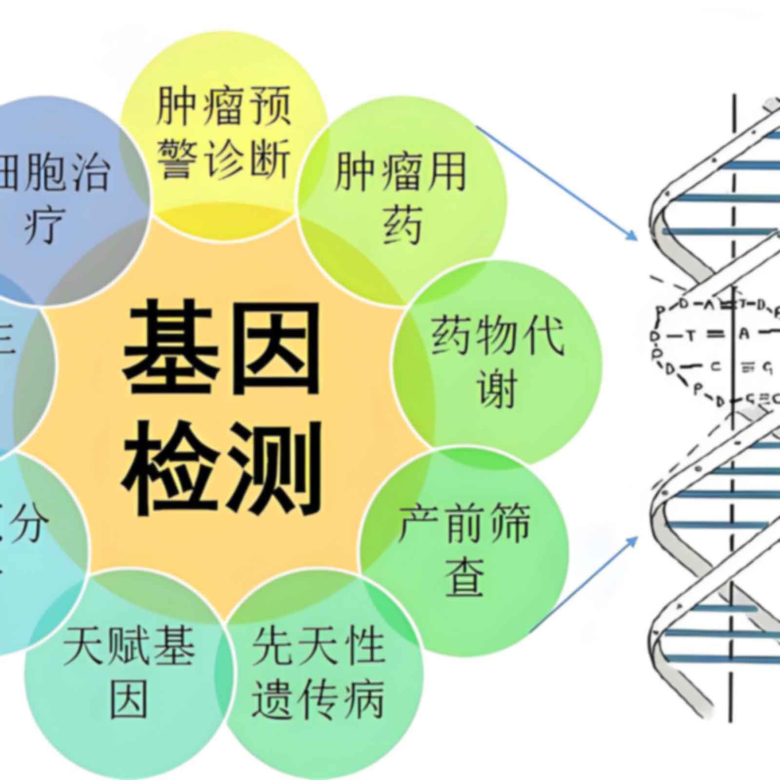 南京秦淮区个人亲子鉴定需要注意哪些鉴定操作